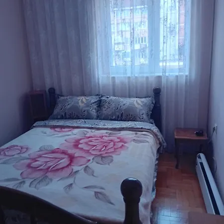 Bis Centar Apartamento Ni